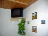 privat lenka rohace